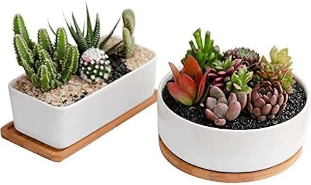 Ceramic Plant Pot Duo (Neutral)