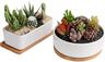 Ceramic Plant Pot Duo (Neutral)