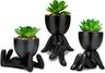 Mini Desktop Succulent Plant in Pot