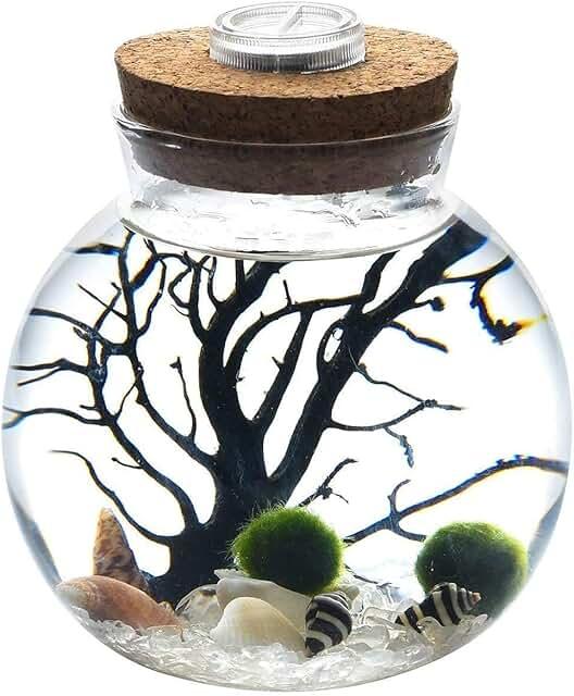 Eco Moss Terrarium Globe