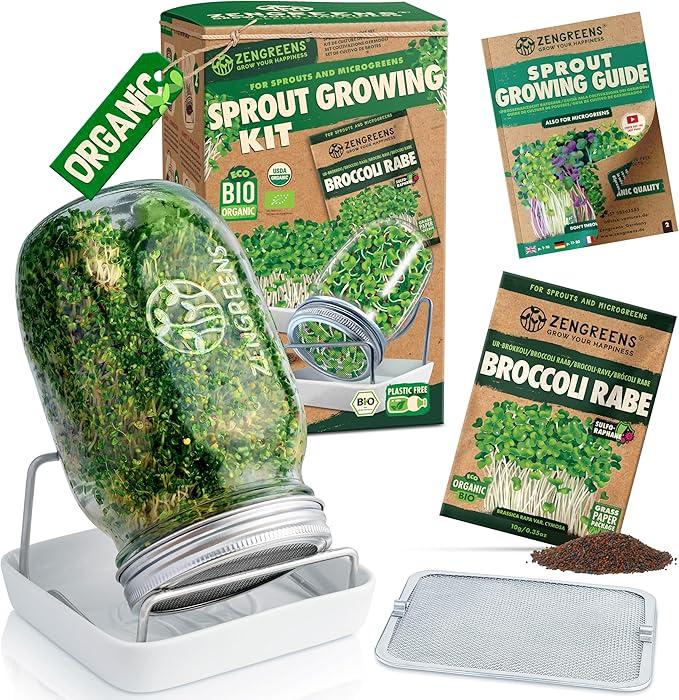 Seed & Sprout Kitchen Starter Set