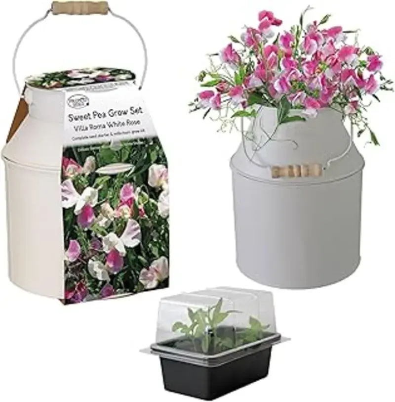 Lula's Garden Plant Gift Set