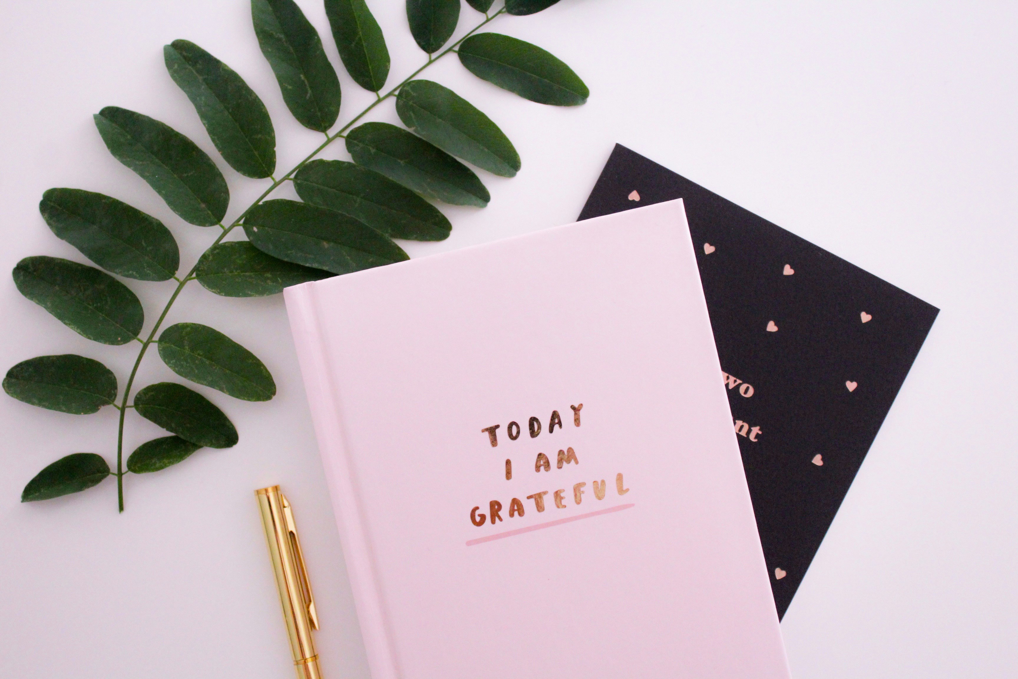 Journal and Reflection Set