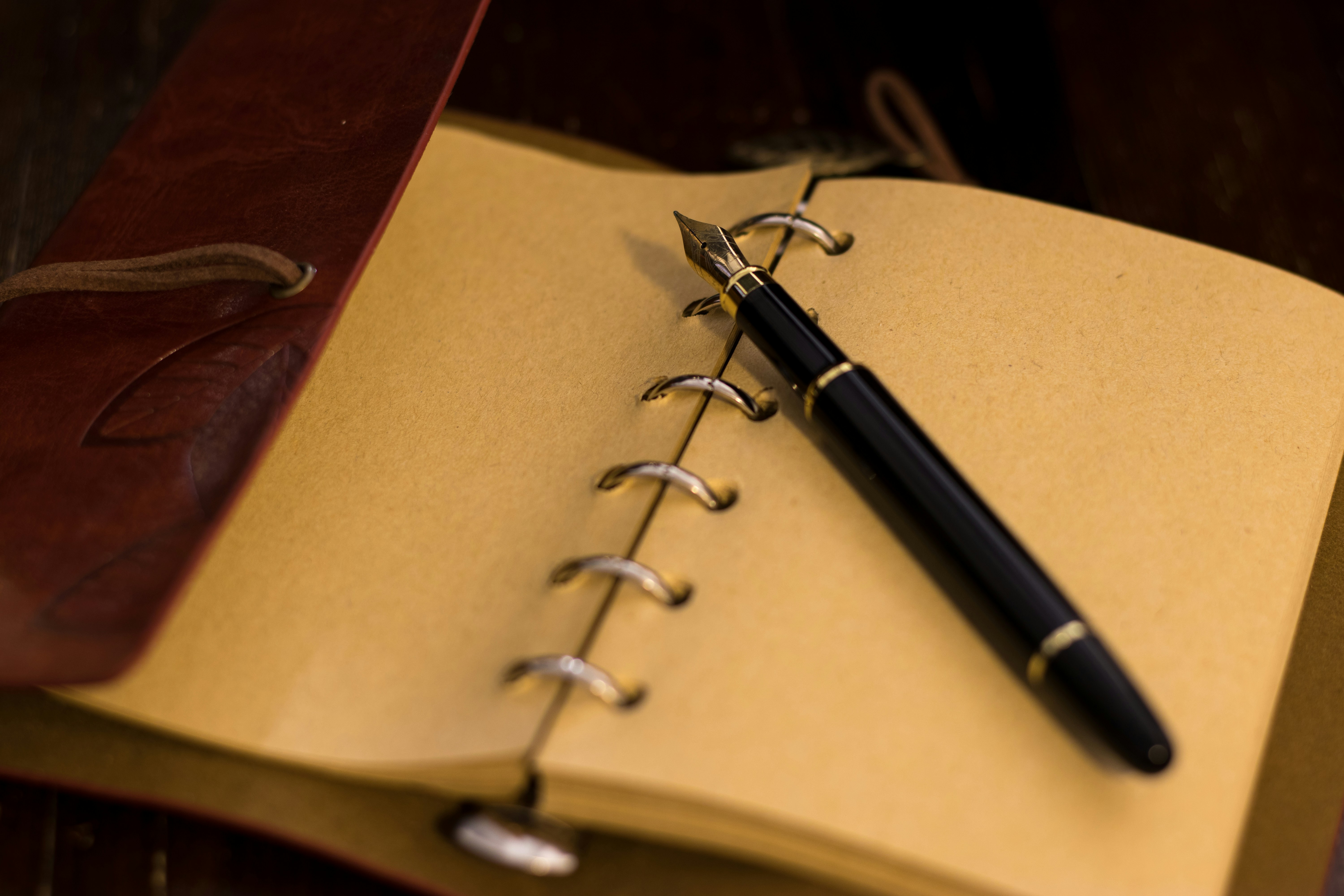 Leather-Bound Journal and Fountain Pen